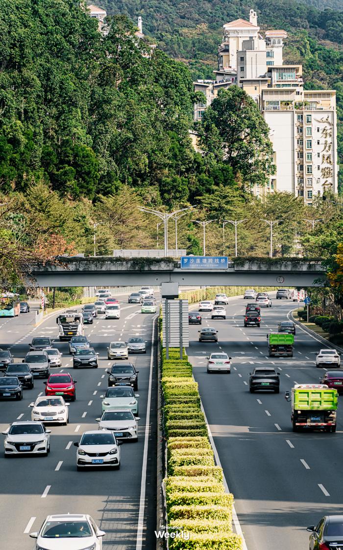 深圳内环高速图片