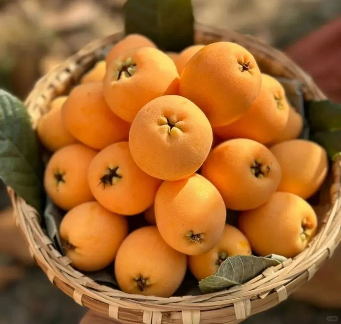 在夏天才能吃到的江西特产!