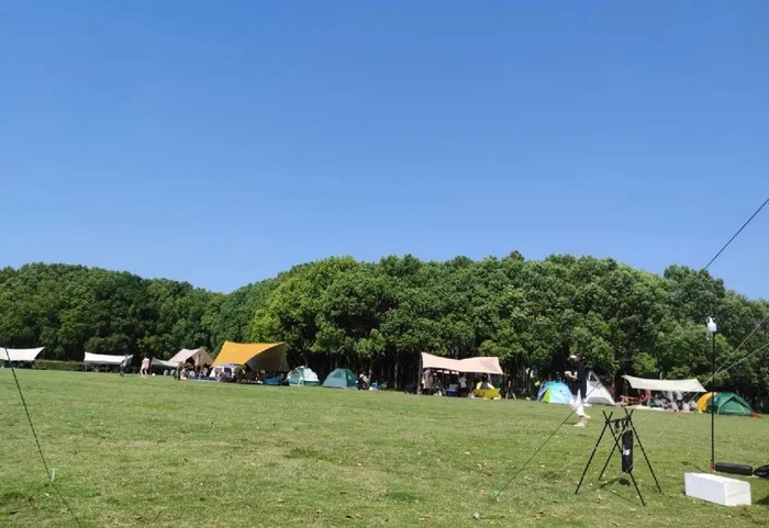 放放风筝……肆意在草地上感受田园野趣地址:顾村公园南侧美兰湖 尽享