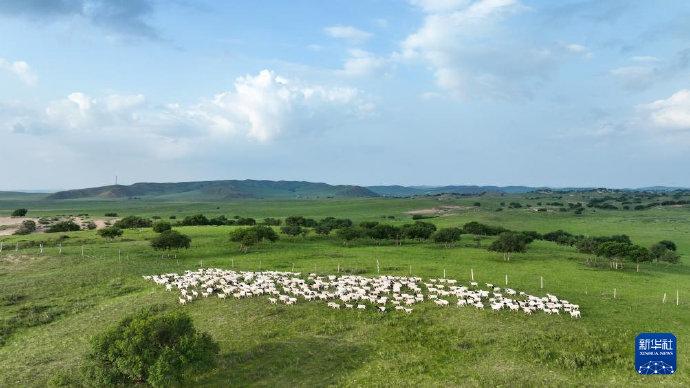 白音锡勒草原景区图片