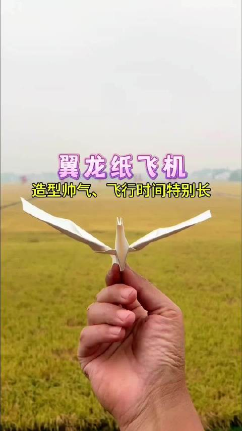简单几步制作超好玩翼龙纸飞机!