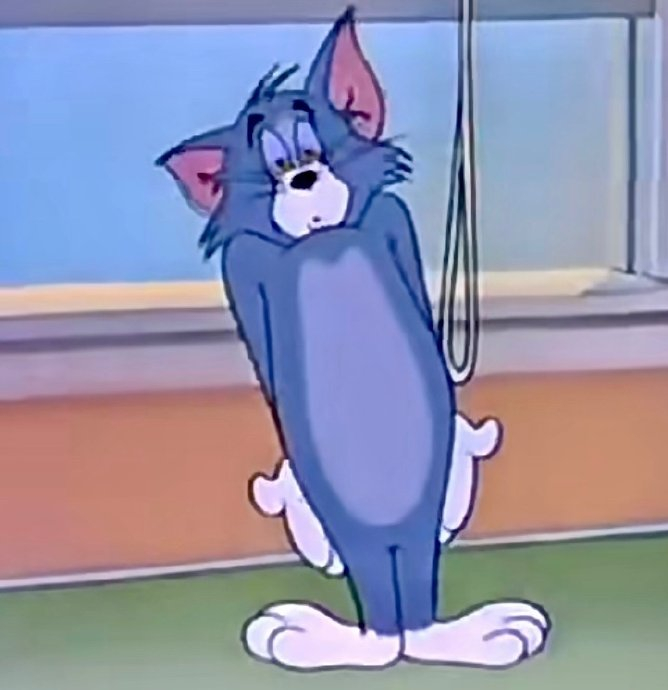 自截猫和老鼠无字表情包②