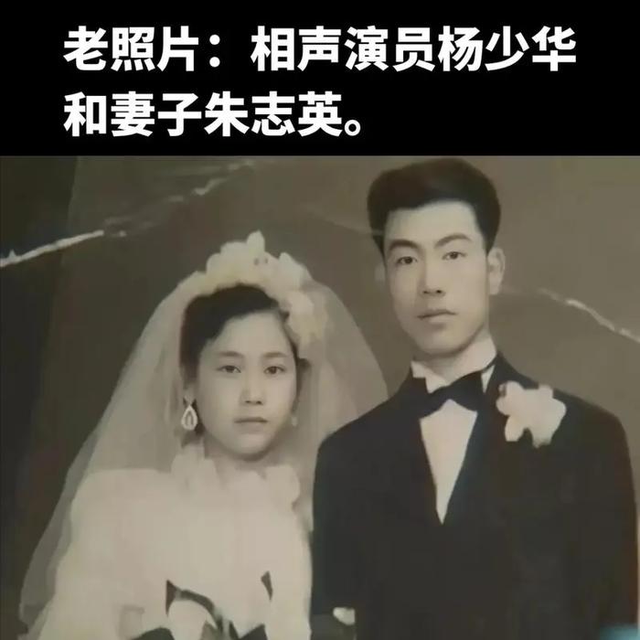 杨少华的老婆个人资料图片