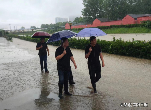 南阳市城市河道治理中心:严防死守,筑起防汛安全屏障