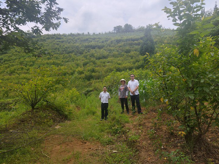 厍东关乡坐落于毕节地区纳雍县东北部,是乌蒙山区的一个农业区,该地