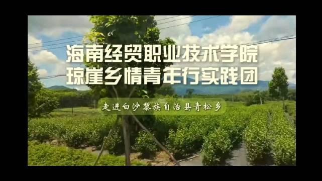 海南学子在海南过夏天的新方式…