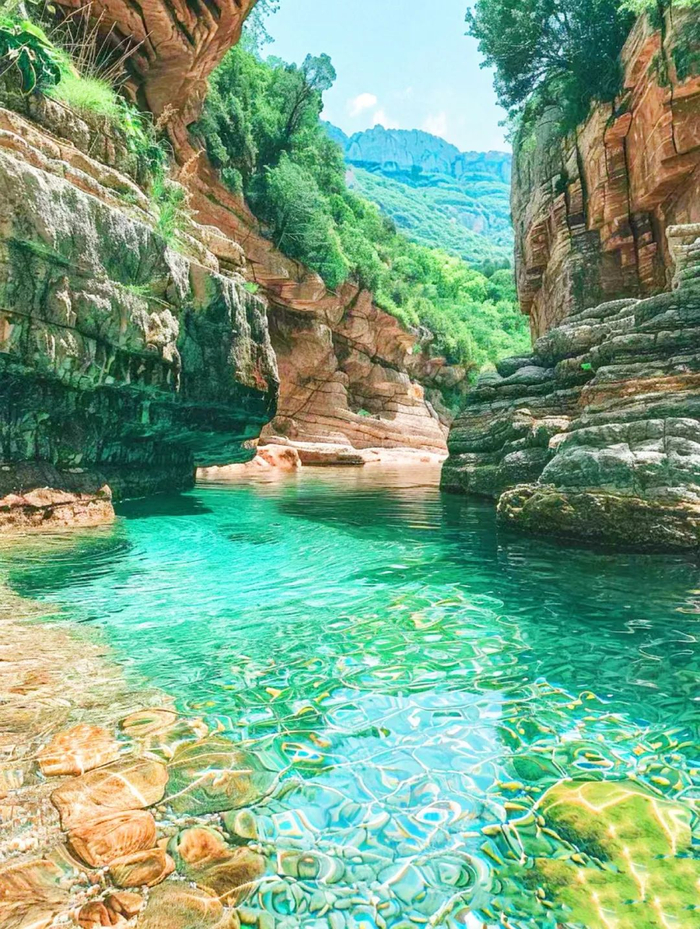 淡竹景区内峰峦叠嶂,拥有浙东南仅存的原始森林——淡竹原始森林.