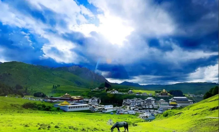 洛克|扎尕那|花湖_新浪新闻