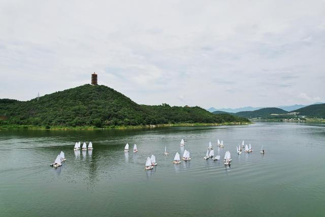 30余位运动健将横渡金海湖