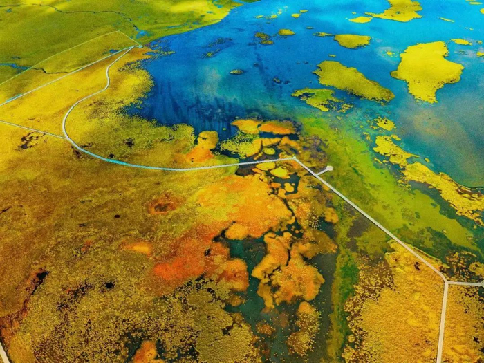 洛克|扎尕那|花湖_新浪新闻