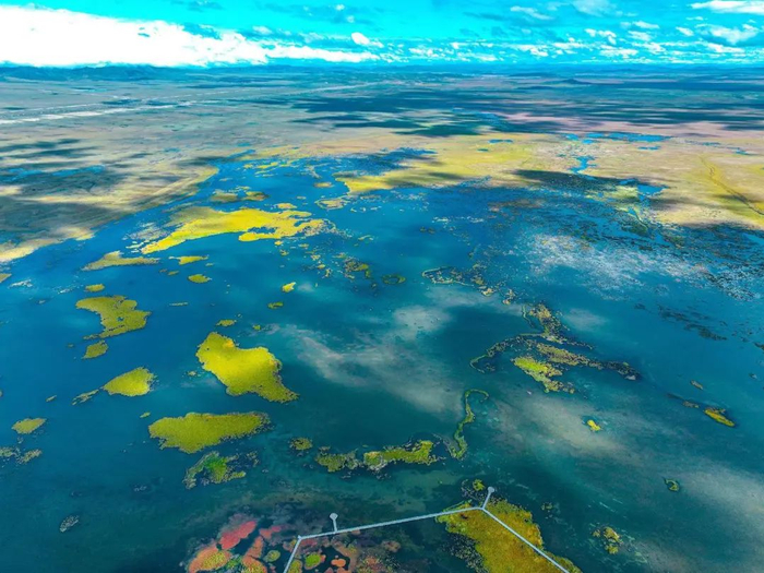 洛克|扎尕那|花湖_新浪新闻