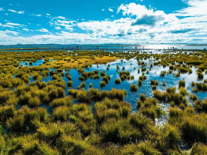 洛克|扎尕那|花湖_新浪新闻