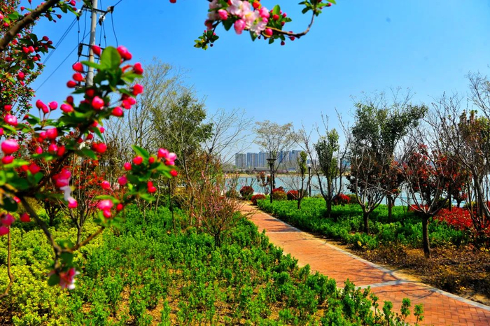 刷新你对小商品种类的认知,更可以到垂柳婆娑,秀水环抱的濮水公园散步