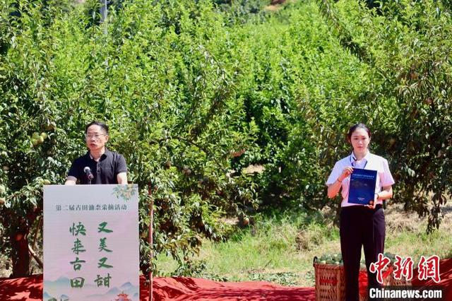 活动中发布了《古田县油柰产业蓝皮书》。吴允杰 摄