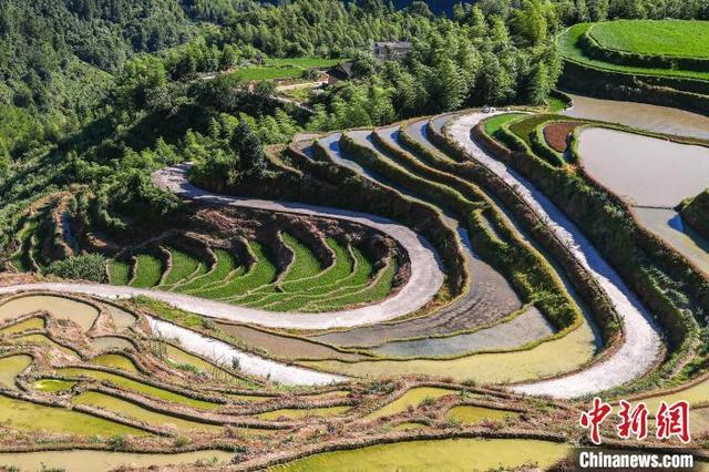 遂川旅游景点大全图片