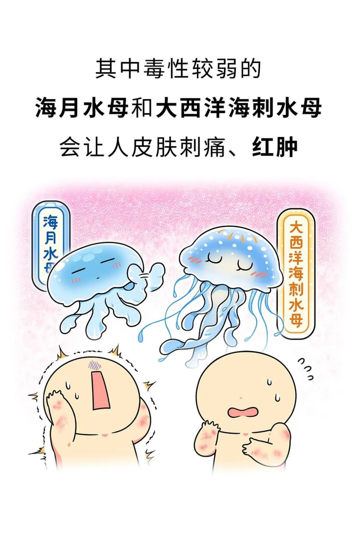我在海边被"塑料袋"蛰了!|大西洋|水母|塑料袋_新浪新闻