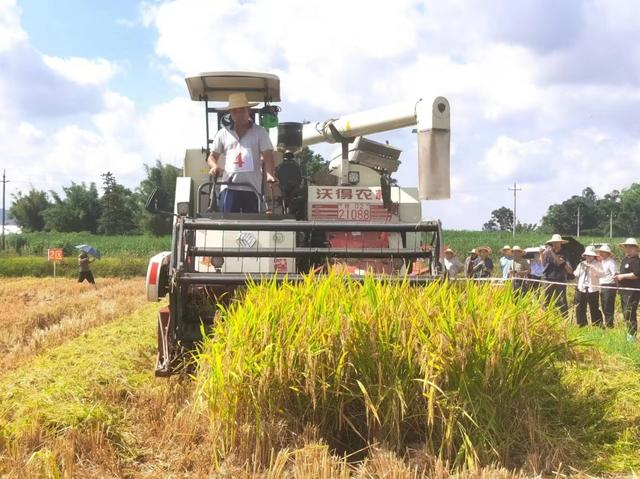 "机"收比武!柳州这些农机手,个个都是好手