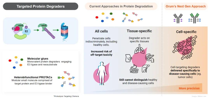 ▲TPD²技术平台示意图（图片来源：Orum Therapeutics公司官网）