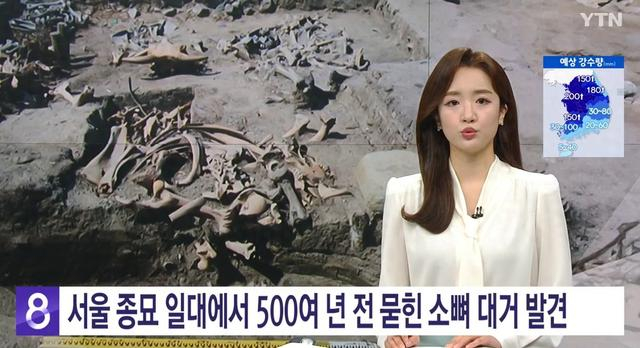 韩国YTN电视台报道截图