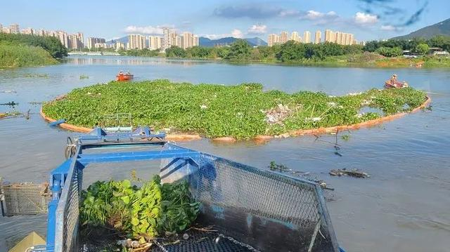 县水利局坚持"一江一河四岸"常态化保洁工作|水利局|江河_新浪新闻