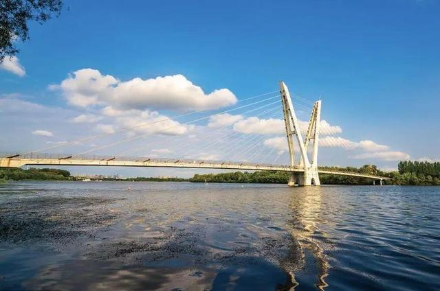 暑期福利已解锁!全国中小学生免费畅玩鸟岛