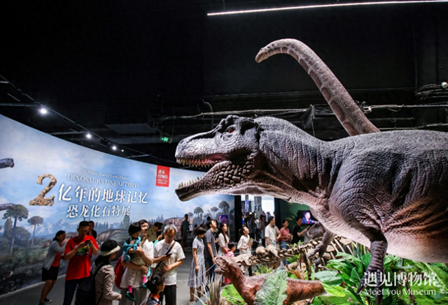 "2亿年的地球记忆——恐龙化石特展"于近日在遇见博物馆·北京798馆