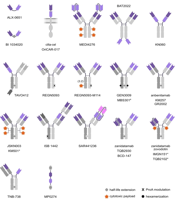 双表位双特异性抗体的治疗应用及前景