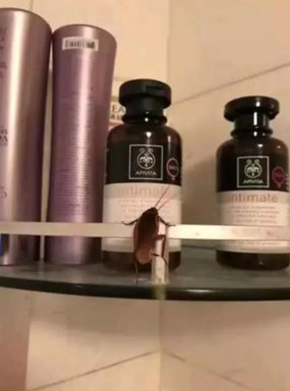 图片来源于网络