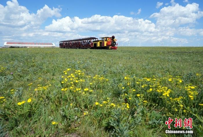 辉特淖尔草原旅游区图片