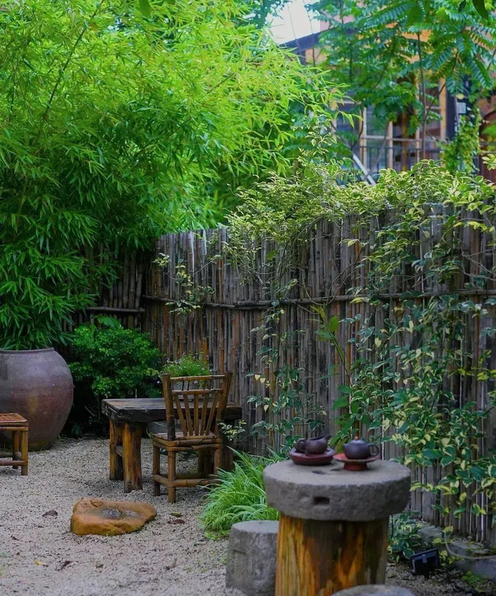 老家的院子,千万不要荒废了