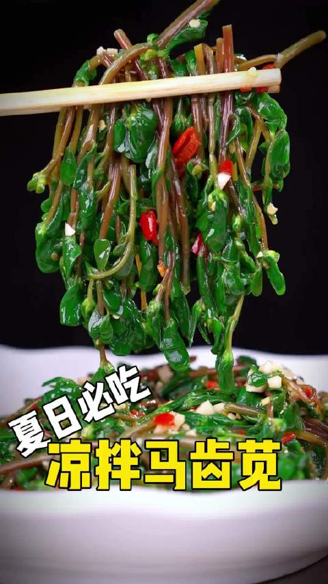 马齿苋又称长寿草,夏天凉拌酸辣爽口(餐饮人阿正)