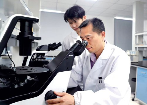 　　宁海海洋生物种业研究院常务副院长柳敏海（右）在实验室观察对虾养殖用水微生物状况。　资料图