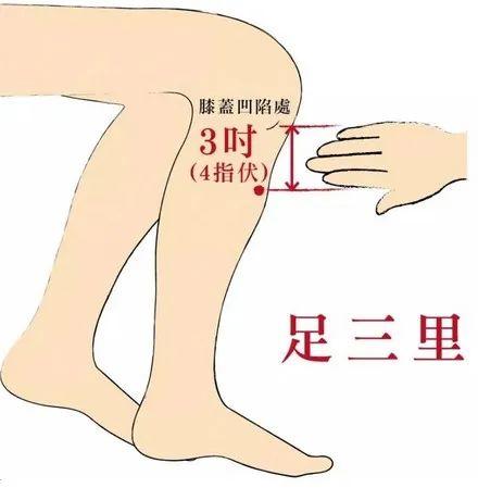 它则位于足阳明胃经这条经络上,在小腿外侧,犊鼻(外膝眼)下3寸,距