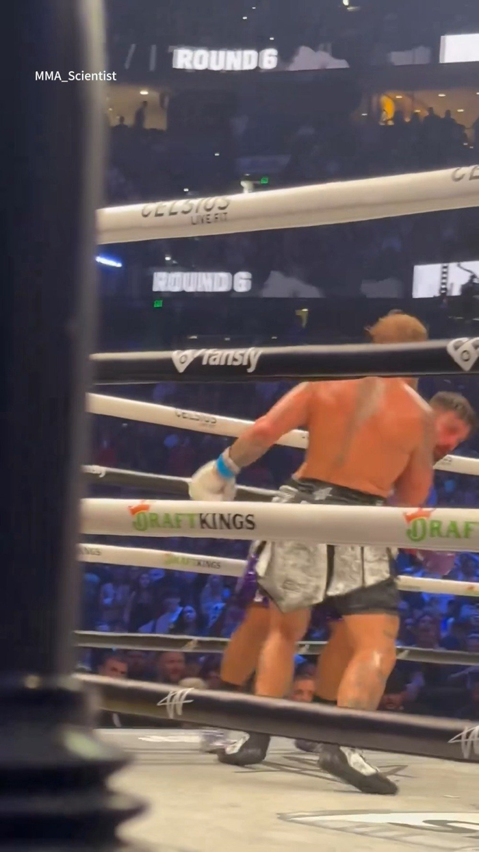 "罗根炮"罗根·保罗( logan paul)在现场看