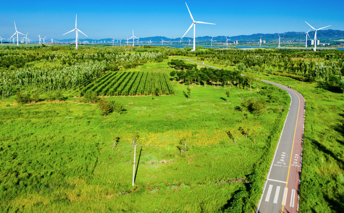 ▲官厅水库风电（怀来县委宣传部供图）