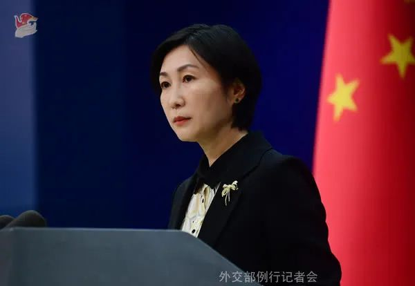 毛宁资料图 外交部网站