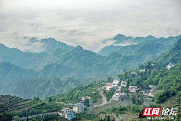 避暑去哪儿?③丨八面山上观云海,山下瑰丽千年里耶古镇