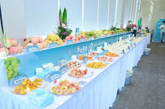 2024年夏季优质果品推介会现场。 本文图片均为 上海市绿化市容局 图