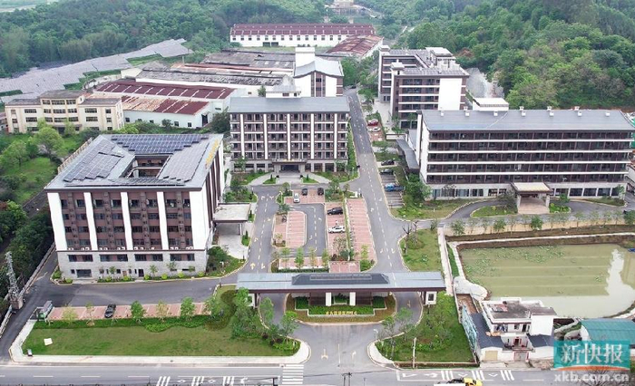 清远市佛冈县水头镇:"五点发力"推动特色产业蓬勃发展