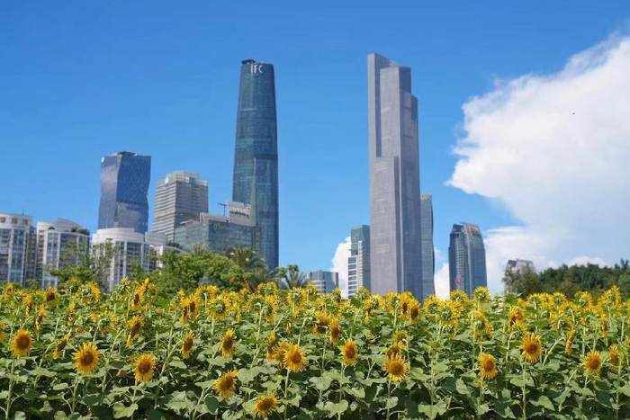 诗坛广咏 微雨浮香消暑溽，一弯新月冷荷花。