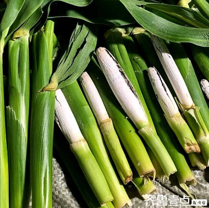 高粱乌米,难得一见!