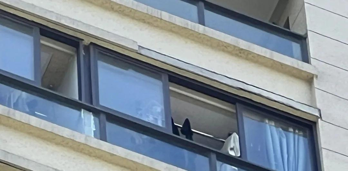 目前还缺失的窗檐