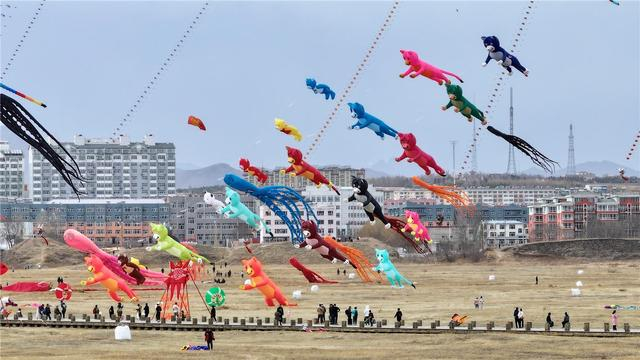 巴林左旗第二届风筝节上，各类软体风筝争奇斗艳。