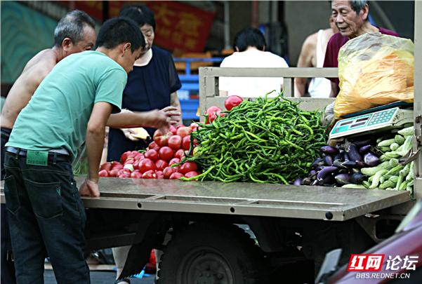 早市摄影图片