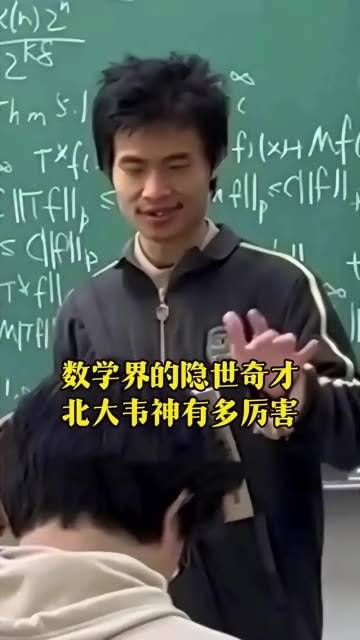 数学领域的隐秘天才,北大的韦神到底有多么惊人