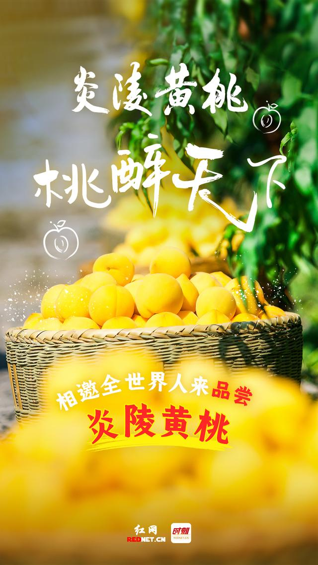 海报丨与炎陵黄桃"沁甜"一夏