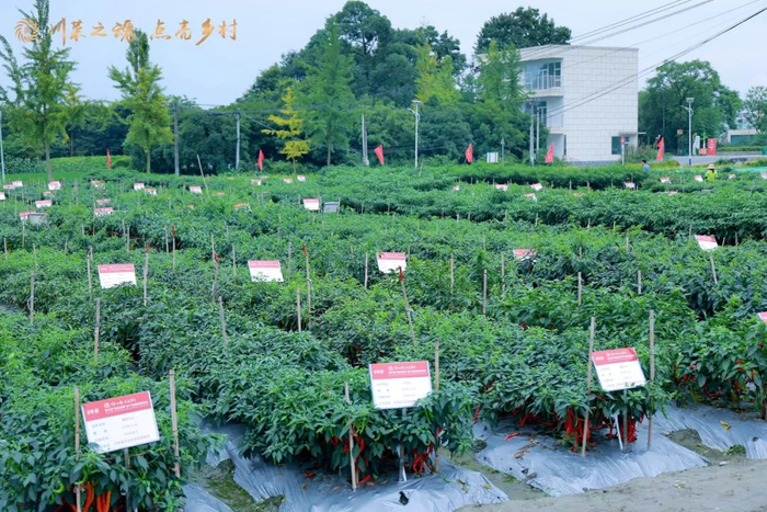 △图据郫都农业农村