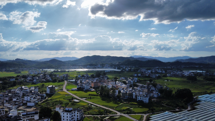 江西于都县，稻田和大棚间的村庄。新京报记者 周怀宗 摄