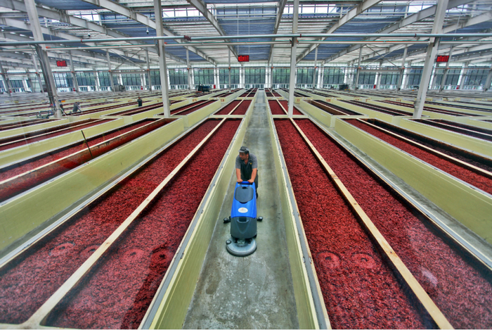 △全球最大的智能化阳光晒场。图据四川省郫县豆瓣股份有限公司官网