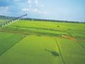 榆树市开启水稻主产区航化作业